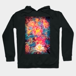 Rose 418 Hoodie